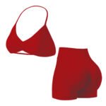 Red 2‑Piece Sports Bra & High Waist Shorts Set
